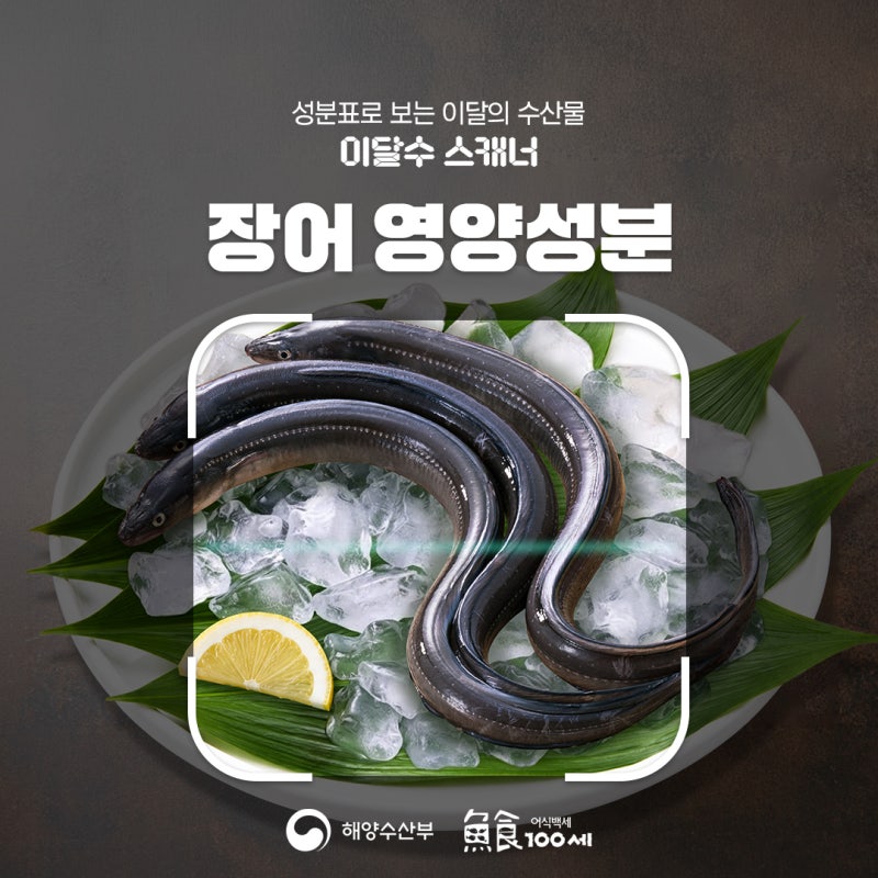 성분표로 보는 8월 이달의 수산물 장어 | 장어 효능, 영양성분