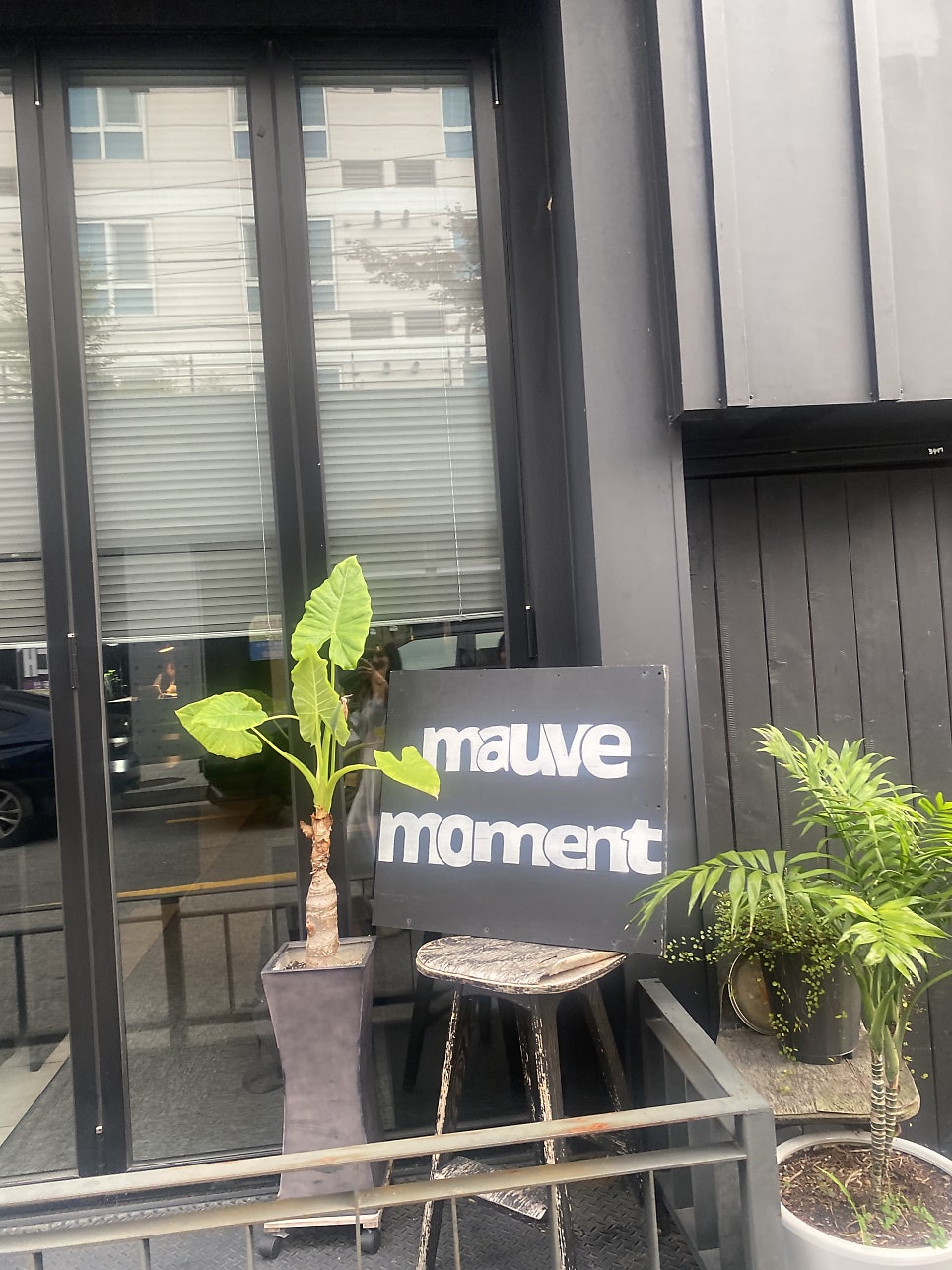 모브모먼트 사진 2