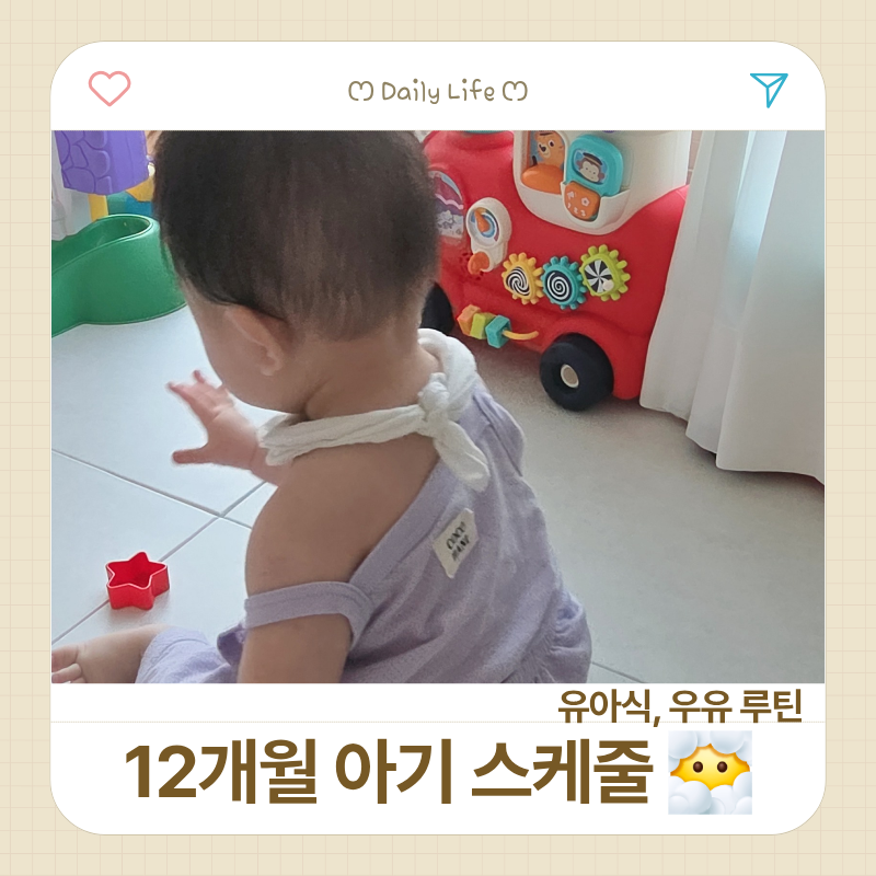 12개월 아기 스케줄 / 유아식부터 우유까지 루틴 기록