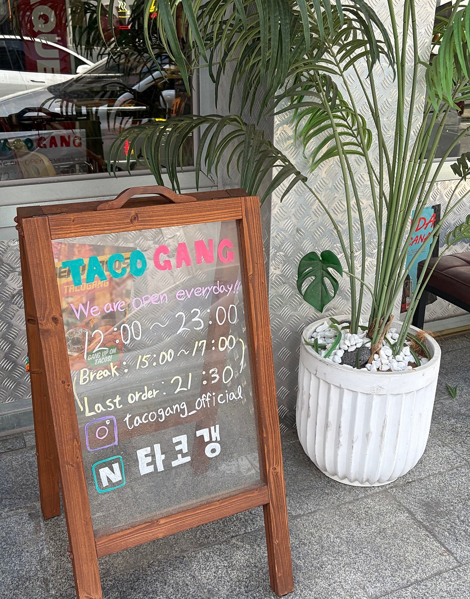 타코갱 사진 6