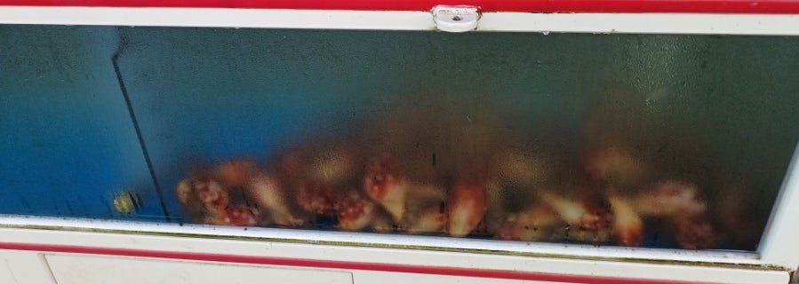 Pohangmulhoe photo 6