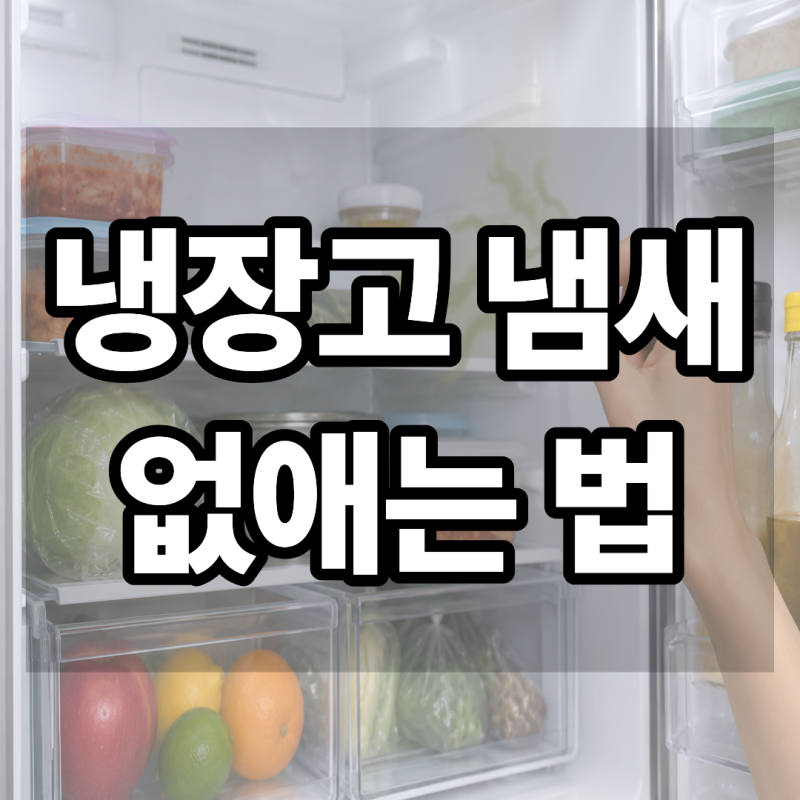 냉장고 냄새 없애는 법 음식 버려도 냄새가 계속 난다면 꼭 확인하세요