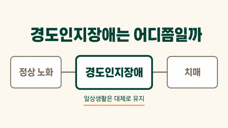 경도인지장애, 치매 전단계라는 말의 정확한 의미 (광주 광산구)