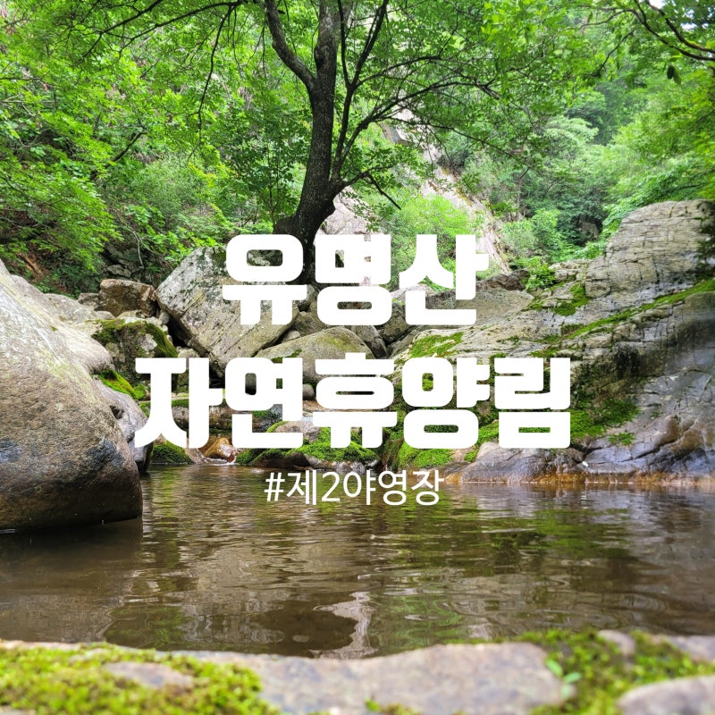 [경기도/가평] EP.26 유명산 자연휴양림 캠핑장(예약방법/캠핑장정보)