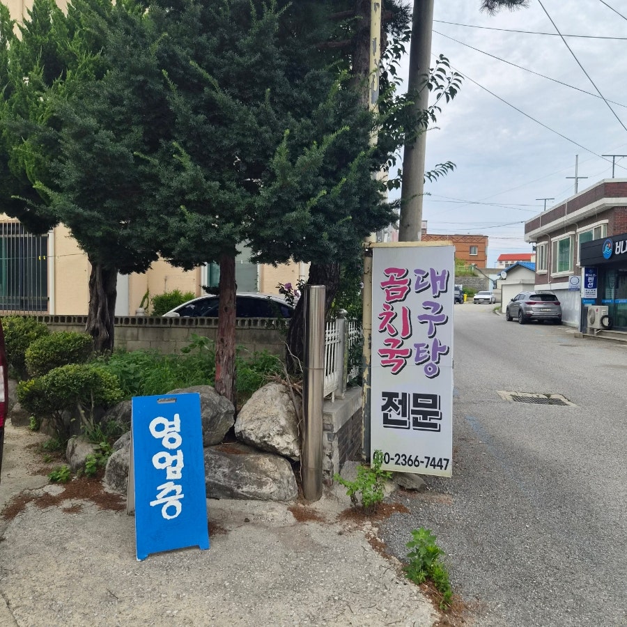 곰치랑대구랑 사진 3