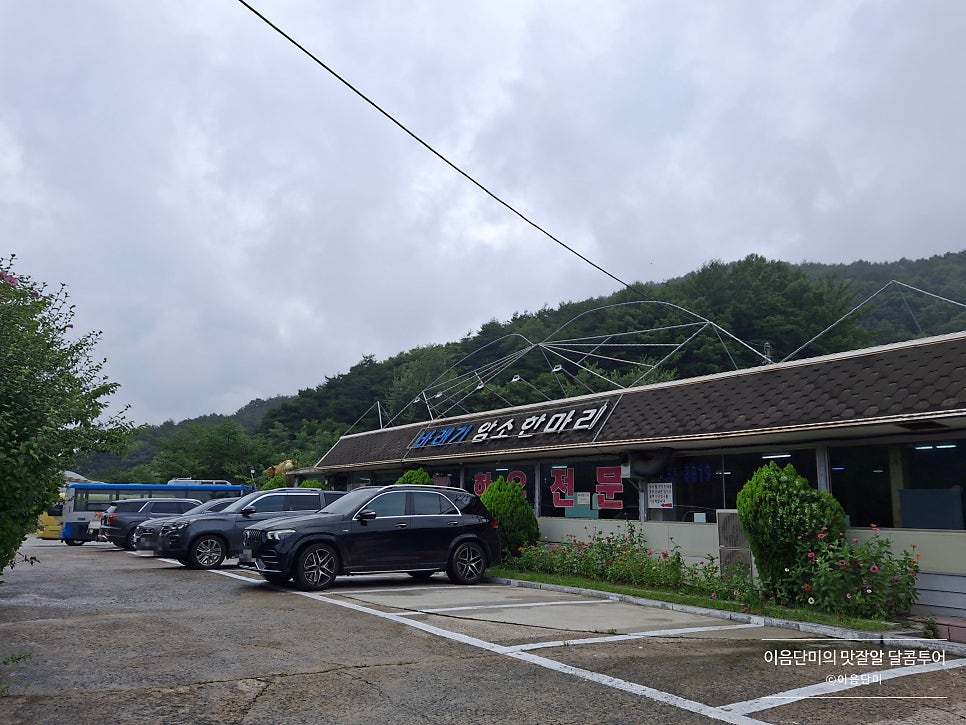 바래기암소한마리 사진 6