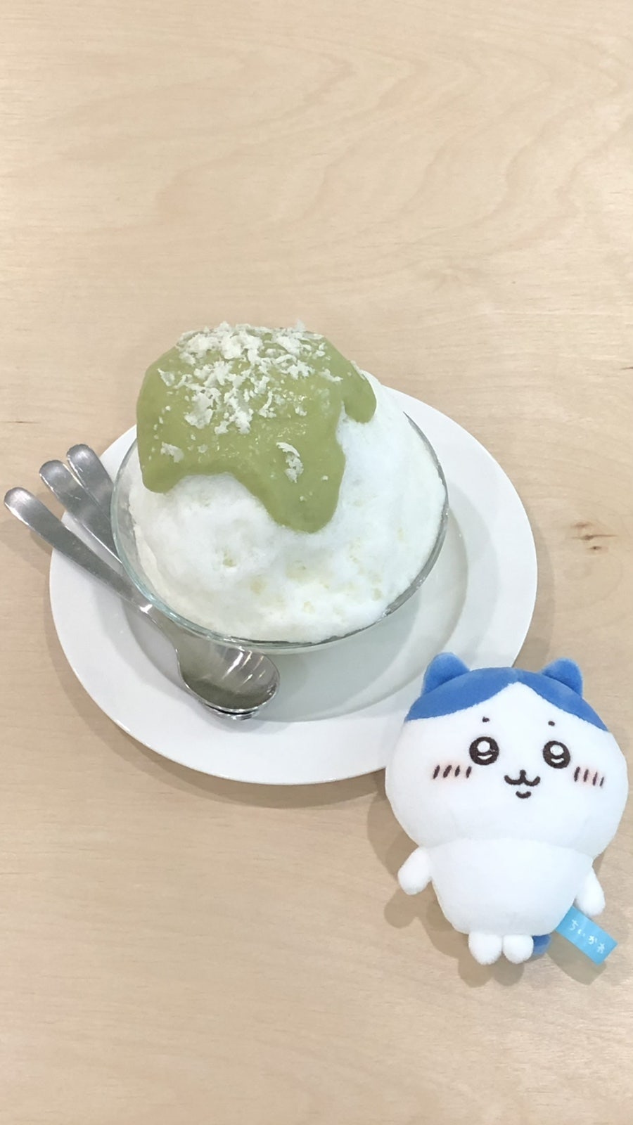 투흐티 사진 2