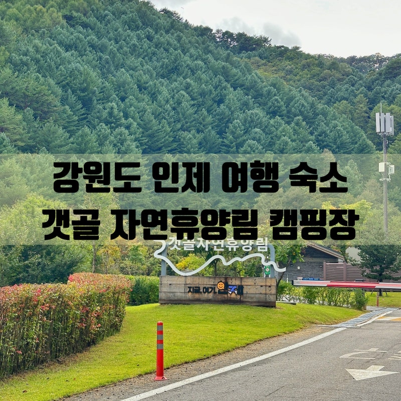 강원도 인제 여행 숙소 갯골 자연휴양림 오토 캠핑장 추천 숲나들e 예약