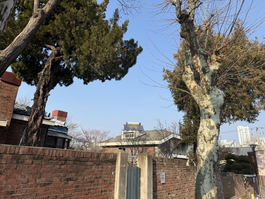 마중 사진 2