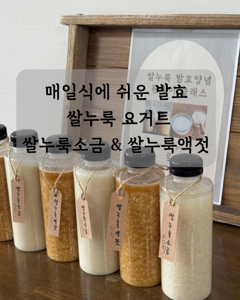 쌀누룩요거트(감주) 누룩소금 누룩젓갈 만들기 7월수업~