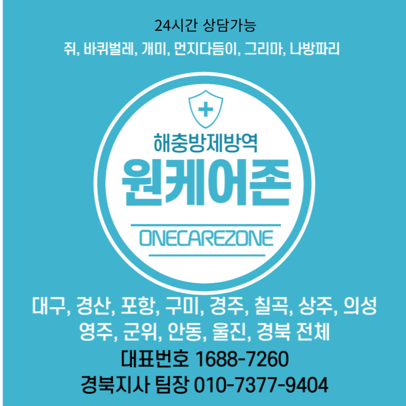 경주 쥐 퇴치 안 하면 생기는 일, 한 마리가 수십 마리가 되는 이유