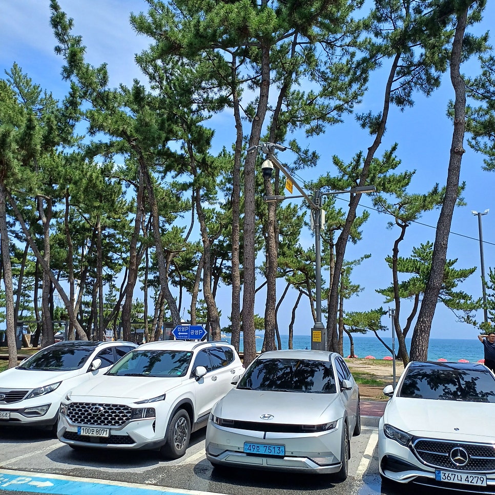 경포대한미횟집 사진 2