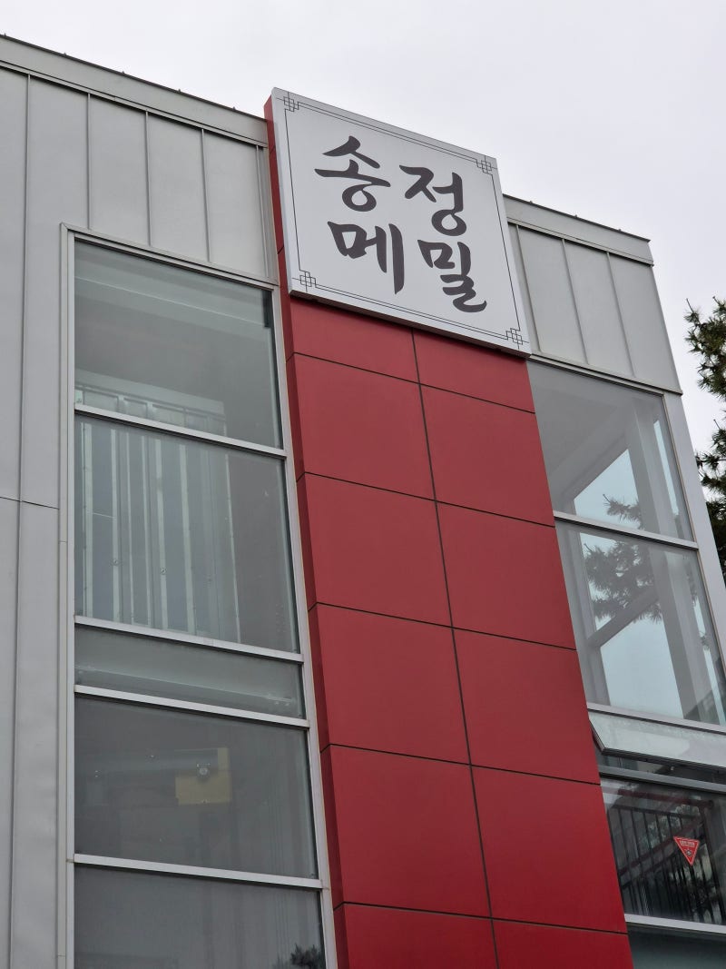 강릉 오면 무조건 여기! 속 편한 '송정메밀막국수'와 바삭한 치킨의 미친 조합