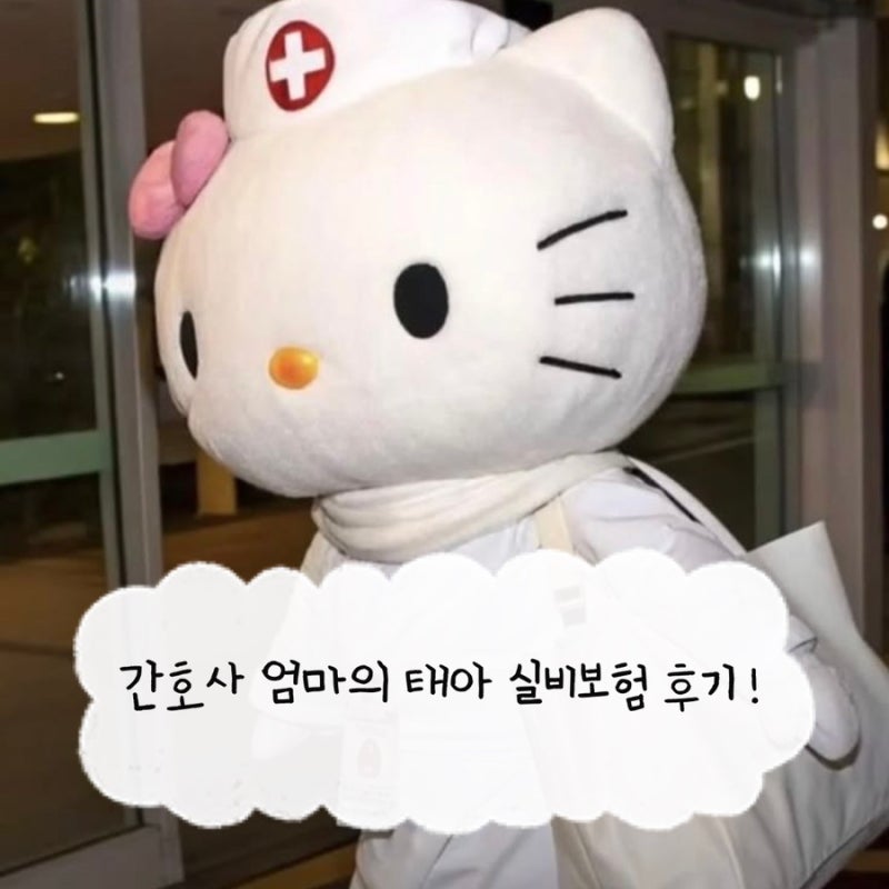 [임신 기록] 태아보험 실비 따로 가입해야할까 ? 간호사 엄마의 실비보험 후기 !