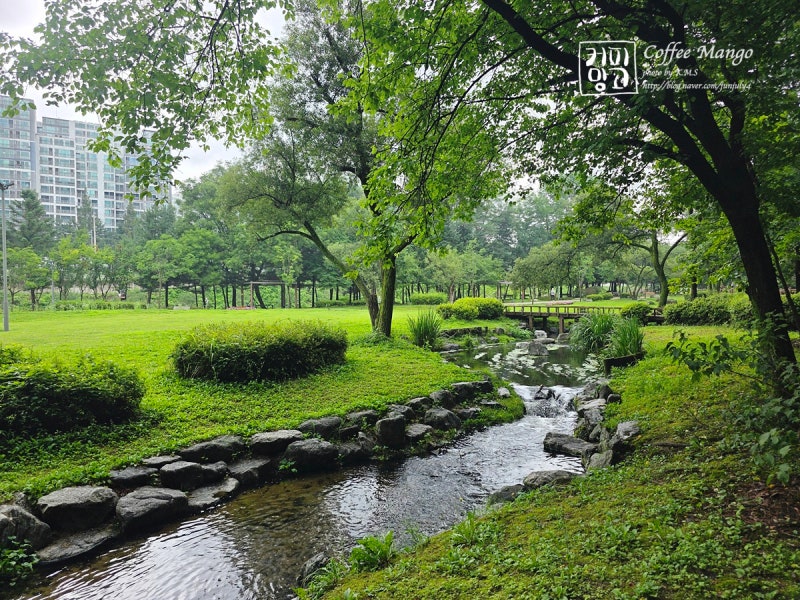17 Must-Visit Places in Yongin, Gyeonggi Province: 2-Day, 1-Night Travel Course Including Night Views