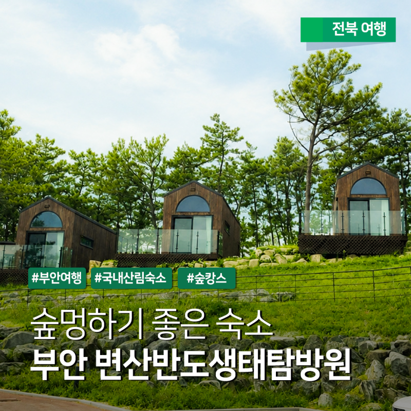 전북 부안 숙소 추천 - 변산반도생태탐방원 가족 여름 휴가 여행지
