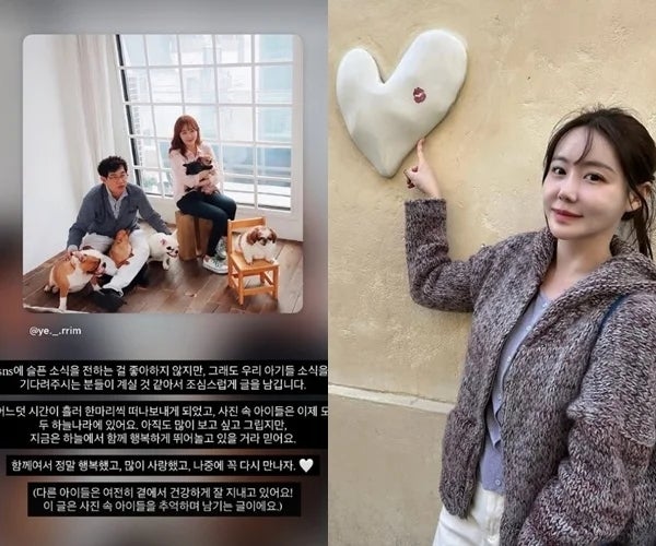 반려견 6마리 동시에 잃은 이경규 딸 이예림, 그 사진 한 장이 유독 아팠던 진짜 이유