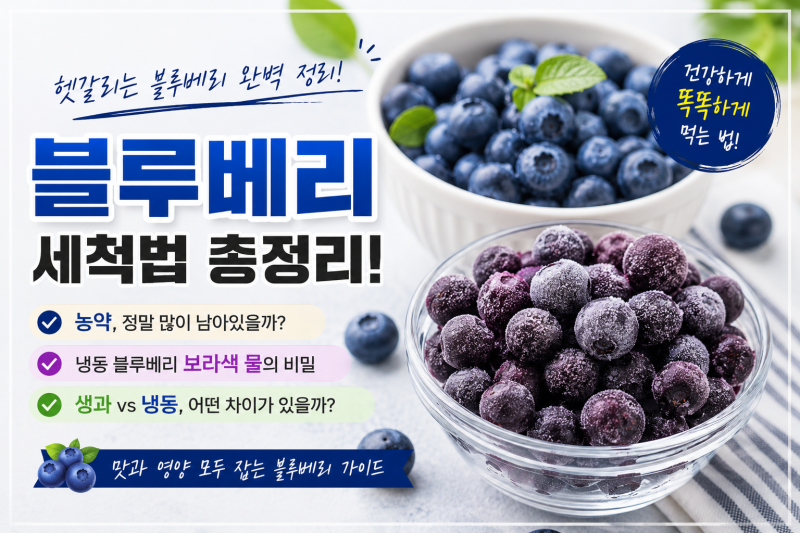 블루베리 세척법 총정리! 냉동 블루베리 보라색 물의 비밀과 생블루베리 차이까지