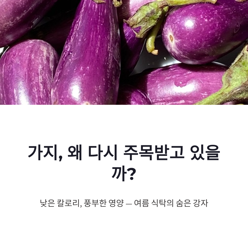 가지 효능과 부작용, 영양 살리는 조리법까지 정리