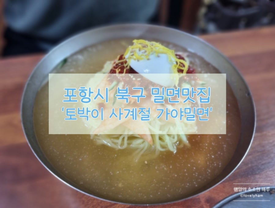 토박이사계절가야밀면 본점 사진 1