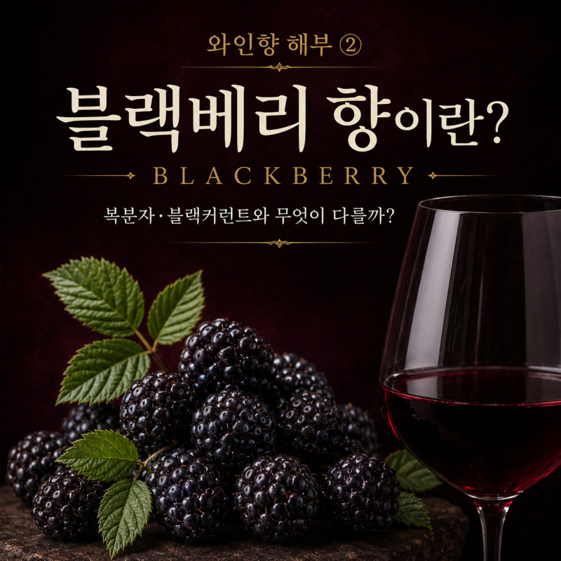 와인향 해부 ② | 블랙베리(Blackberry) 향이란?