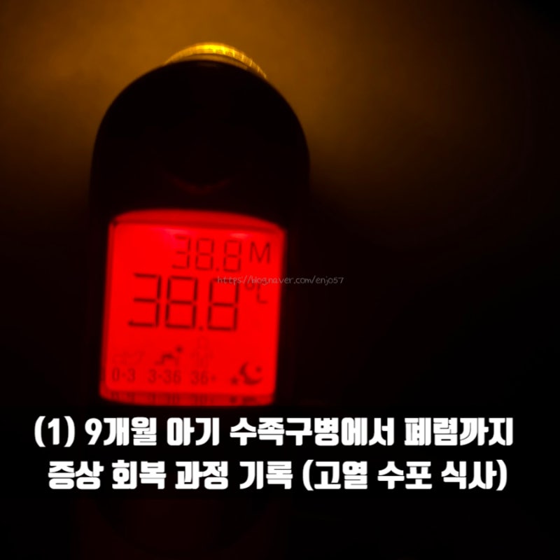 (1) 9개월 아기 수족구병에서 폐렴까지 증상 회복 과정 기록 (고열 수포 식사 입원 등)