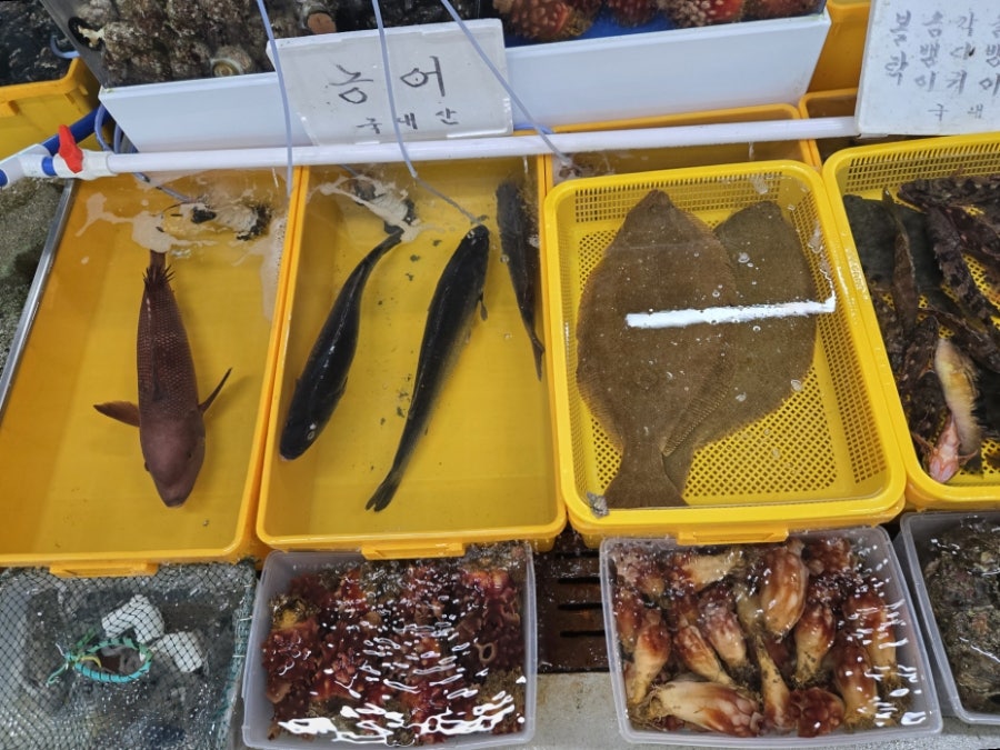 범서초장집 사진 6
