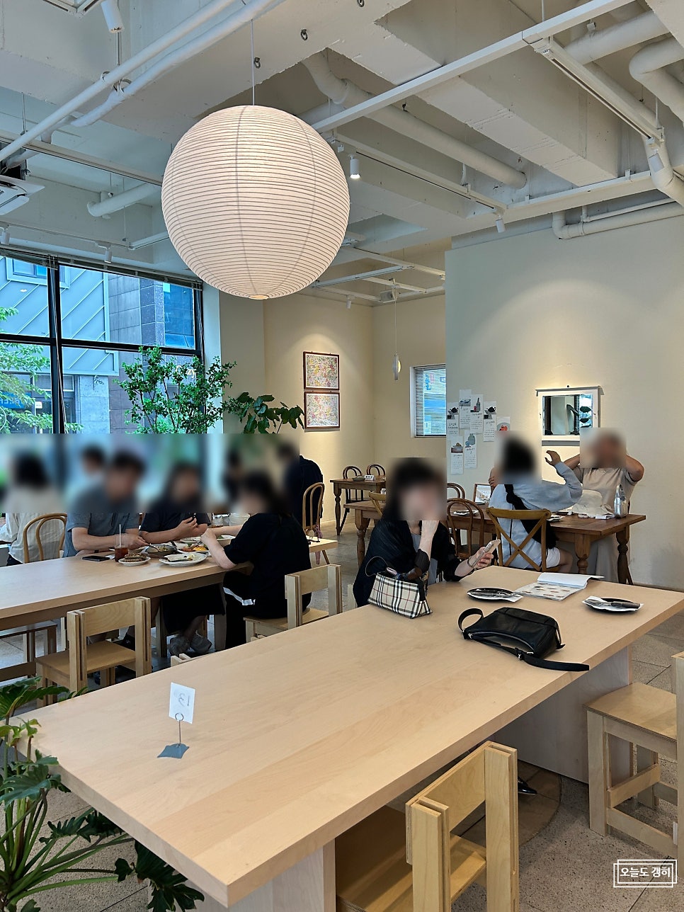 베르가못 사진 3
