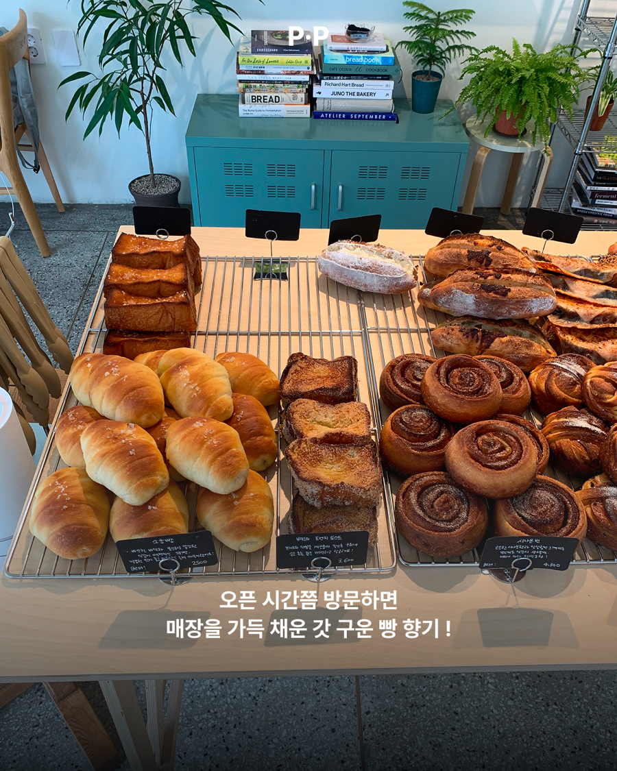 교교 사진 4