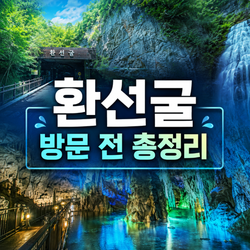 환선굴 운영시간·입장료 총정리! 모노레일, 주차까지 방문 전 꼭 확인하세요