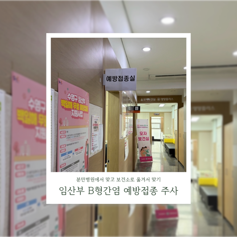 임산부 B형간염 항체주사 병원에서 맞다가 보건소로, 금액 까지!