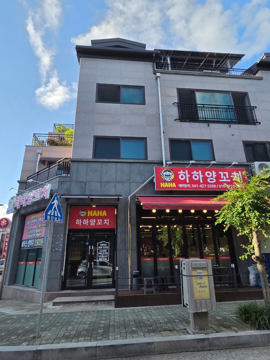 하하양꼬치 사진 2