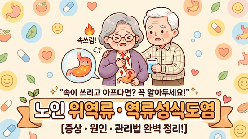 시니어건강 | 속쓰림, 그냥 소화불량이 아닐 수 있습니다노인 위역류·역류성식도염 완전정....