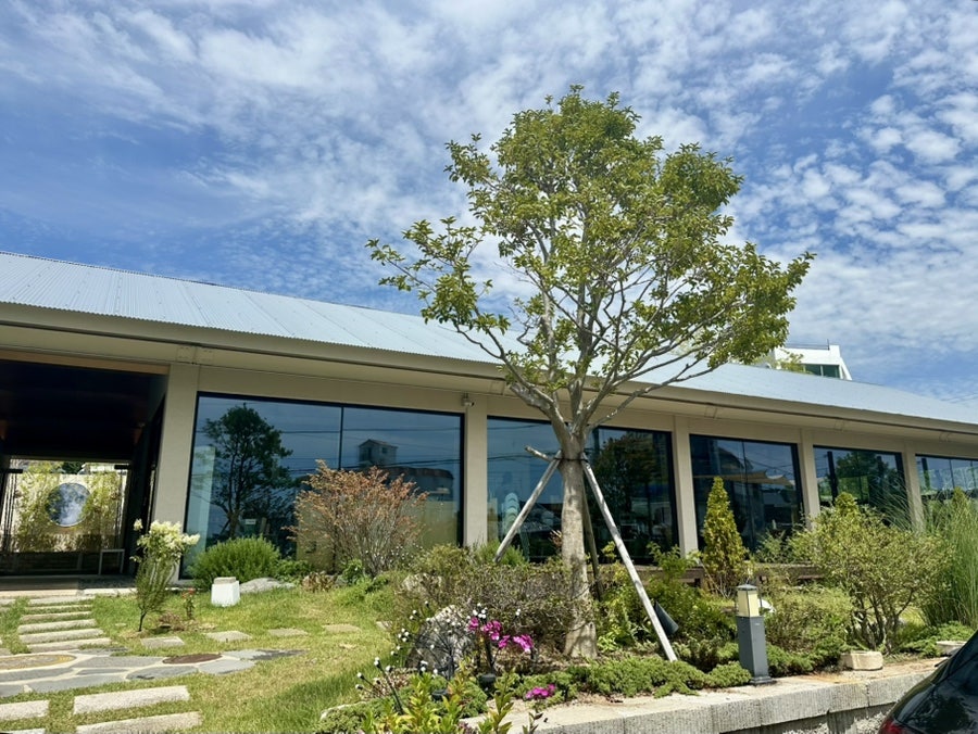 기미모락 사진 6