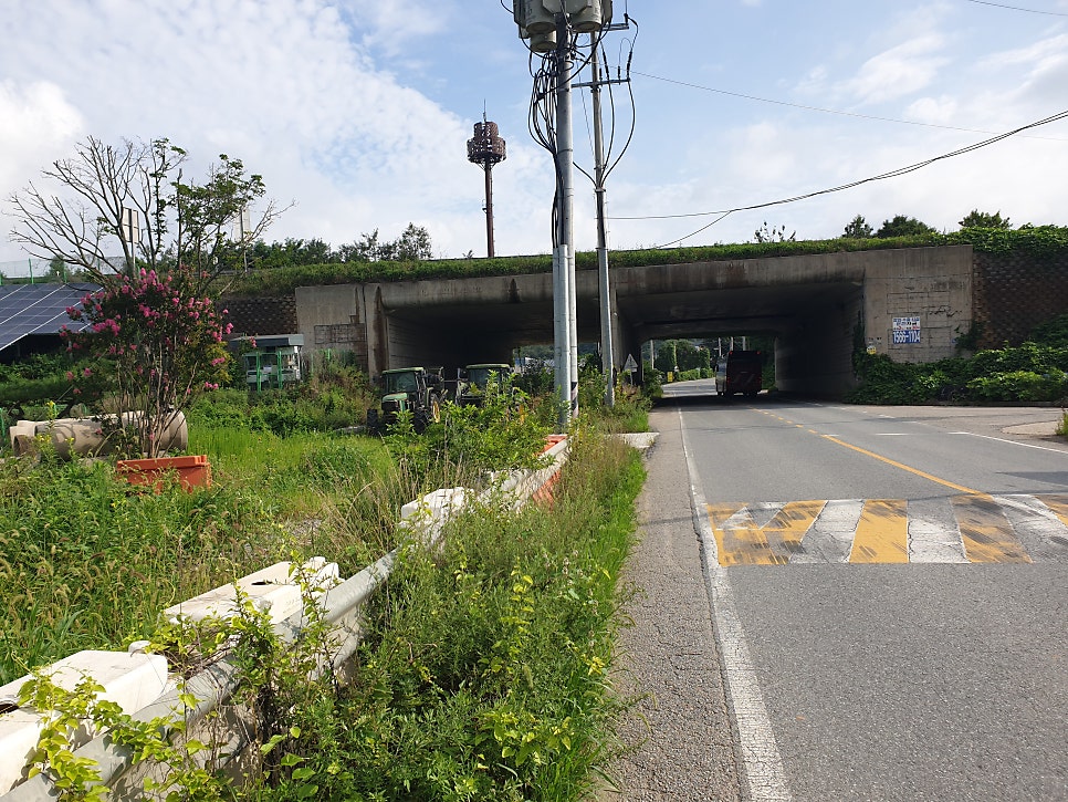 명봉산 사진 5