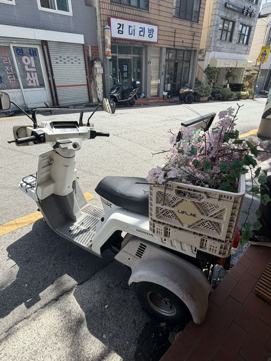 이또이스시 사진 3