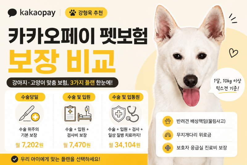 강형욱 카카오페이 펫보험 강아지 고양이 가입 나이 및 보장 비교