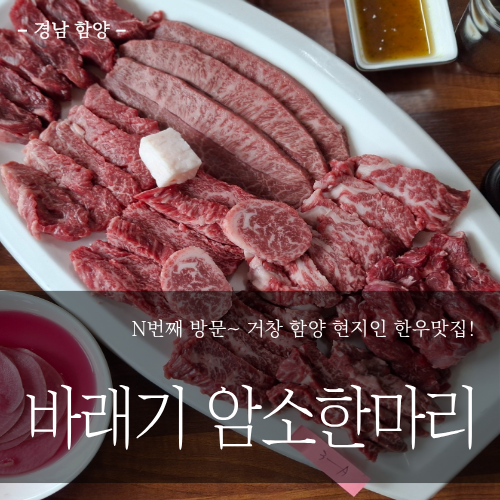 바래기암소한마리 사진 2