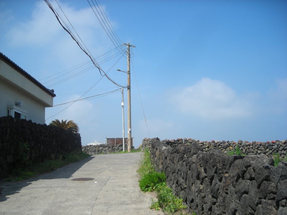 콜로세움 제주 사진 1