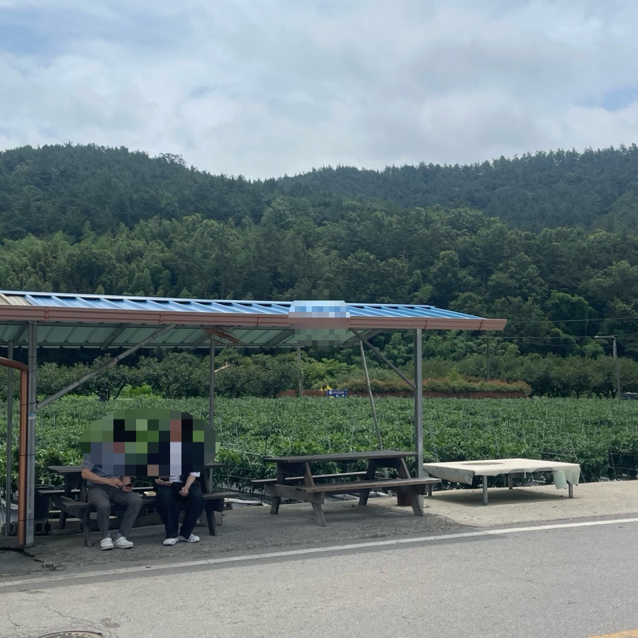 병영돼지불고기거리 사진 6