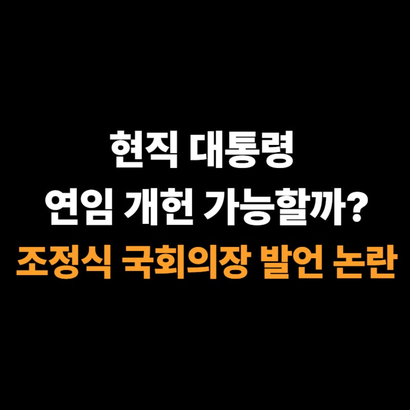 조정식 국회의장 발언 논란, 대통령 연임 개헌 가능할까?