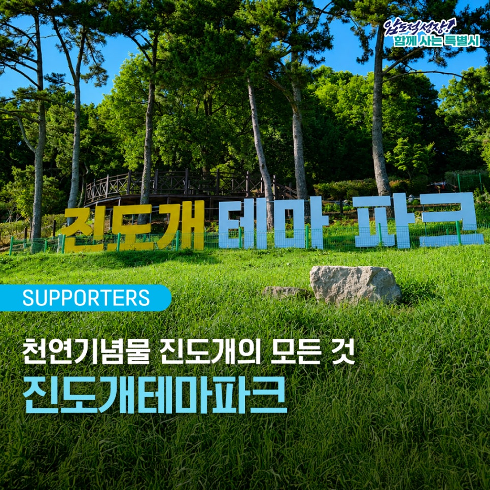 Jindogaetemapakeu photo 1