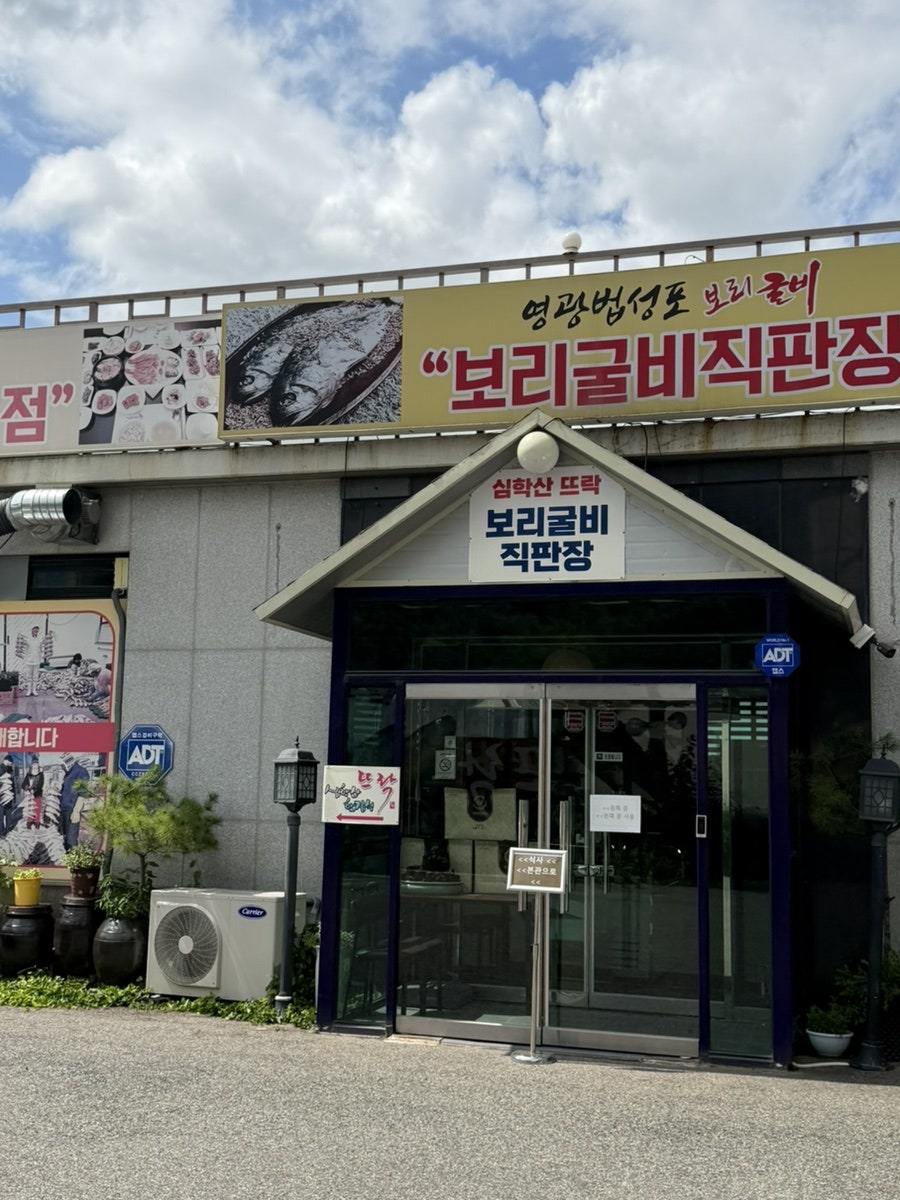 보리 사진 3