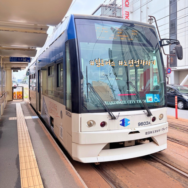 일본버스 노면전차 타는 법, 현금, 카드, 거스름돈 총정리
