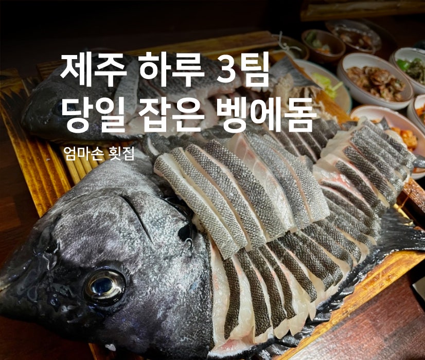 엄마손횟집 사진 1