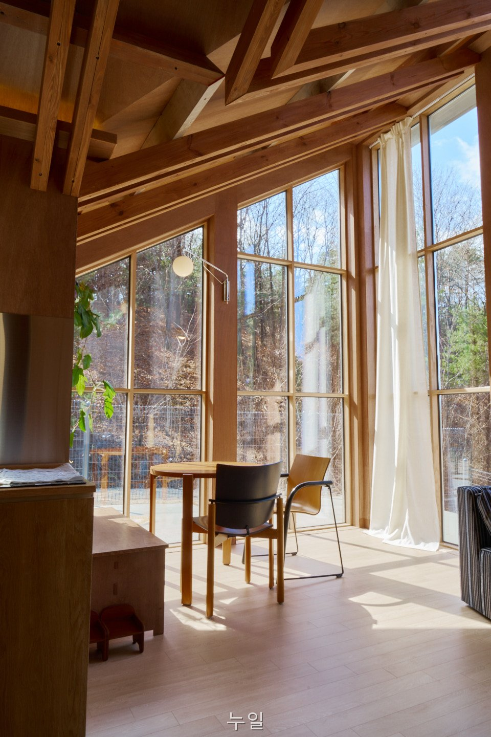 누일 사진 1