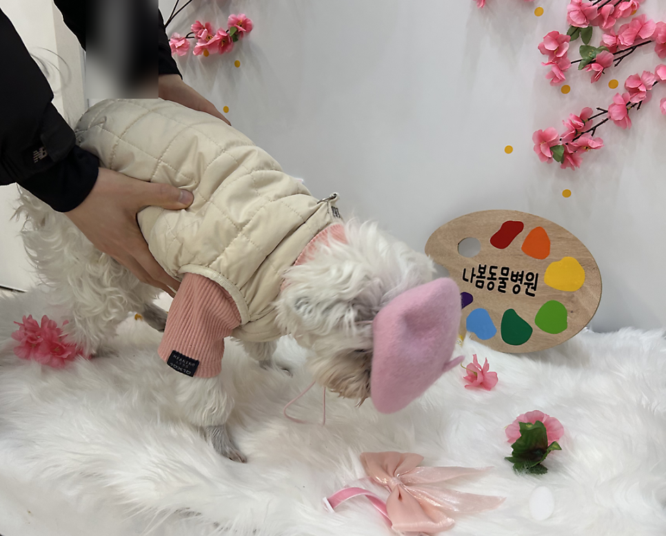 나봄동물병원 사진 3