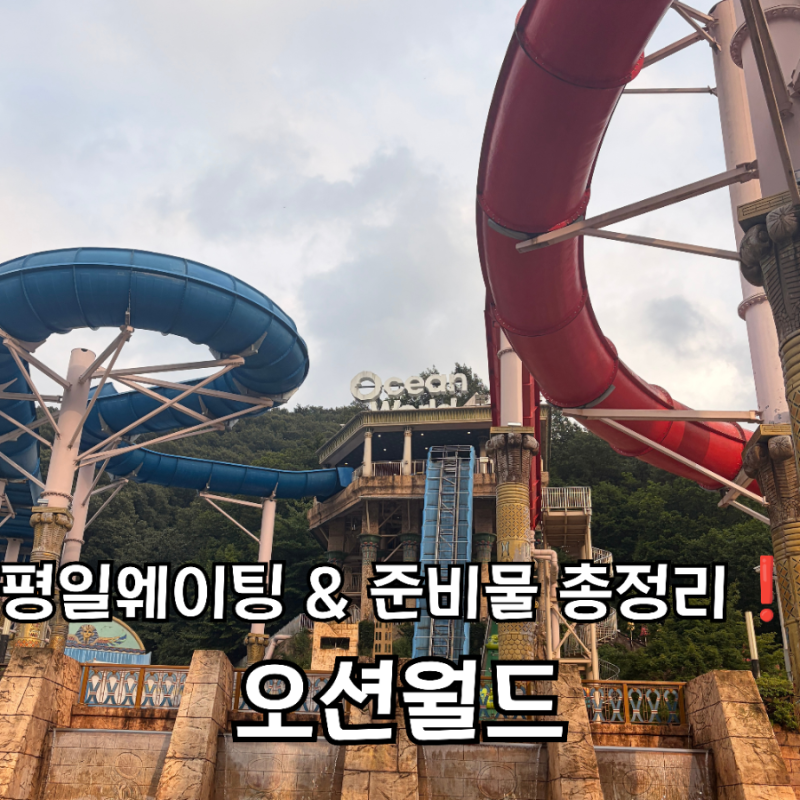 [강원/홍천] 오션월드 골드시즌Ⅱ 월요일 평일 방문 후기ㅣ놀이기구 대기 시간 및 준비물 총....