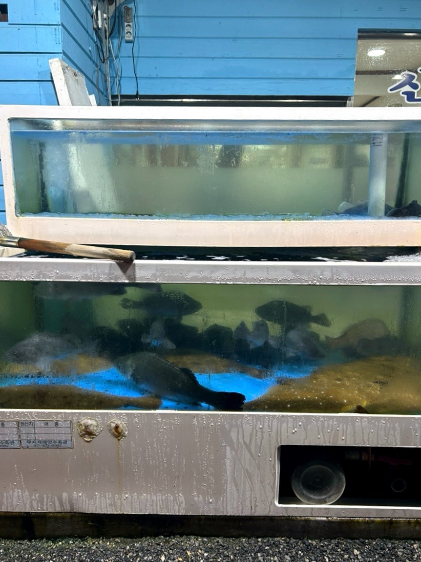신선횟집 사진 2