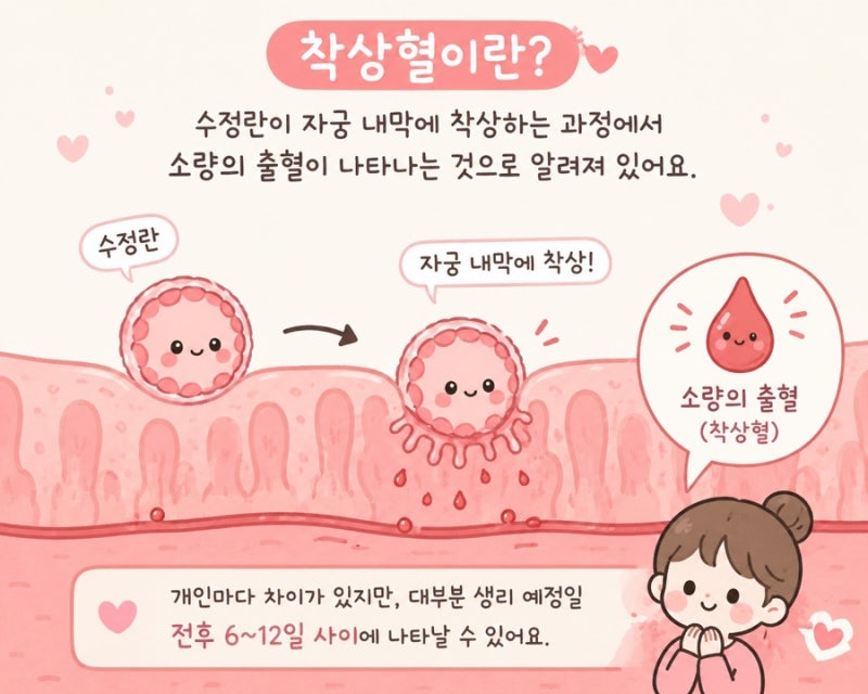 생리 전 갈색냉이 나오는 이유｜착상혈과 차이점 총정리, 나의 실제 경험